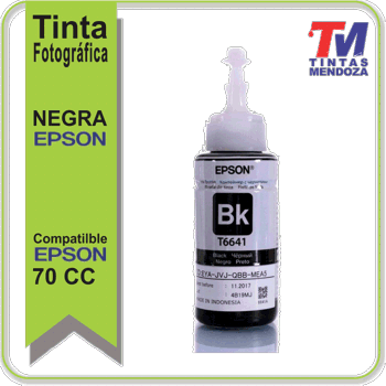 Botella de Tinta Negra Epson 664