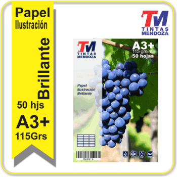 Papel Ilustracion Inkjet Brillo 115gr. A3+ 50 Hj