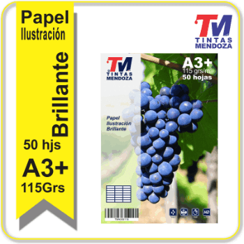 Papel Ilustracion Inkjet Brillo 115gr. A3+ 50 Hj